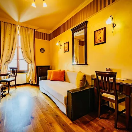 Joy Executive Comfort In Area * Timişoara