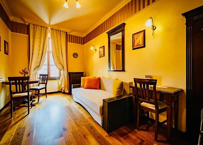 Joy Executive Comfort In Area * Timişoara