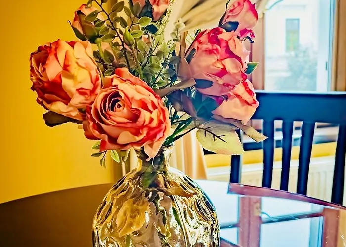 Joy Executive Comfort In Area *