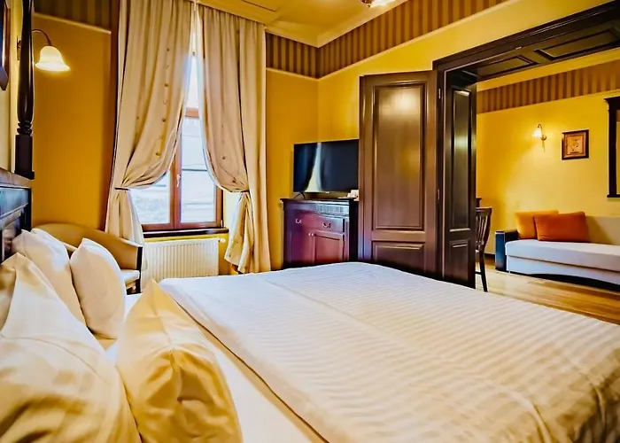 Joy Executive Comfort In Area * Timişoara